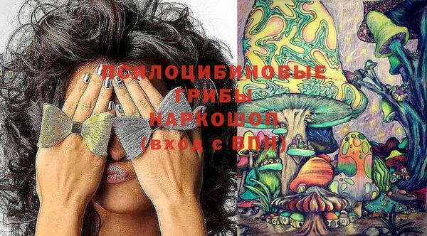 Альфа ПВП Алексеевка