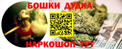 крисы Сланцы
